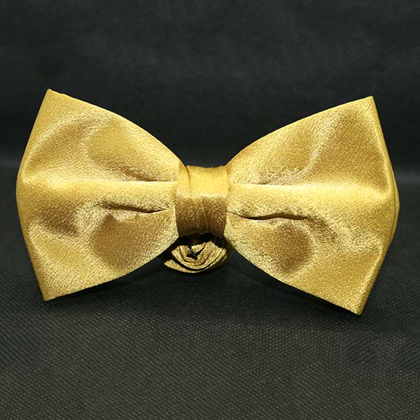 Front view of Satinette Bronze Bowtie from PRochelin