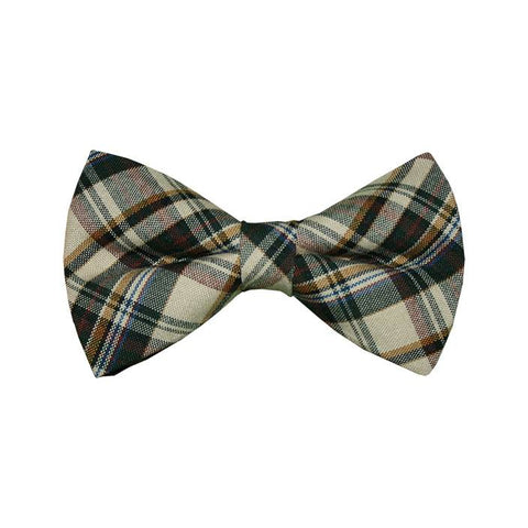 Multicolored Striped Adult Bow Tie